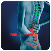 spine back pain