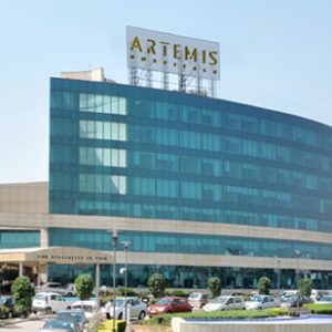 artemis hospital