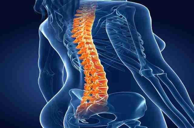 Thoracic কটিদেশীয় মেরুদণ্ড